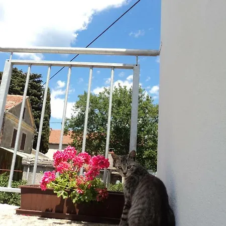 Lordanic Zaglav, Dugi Otok Apartmán Zaglav