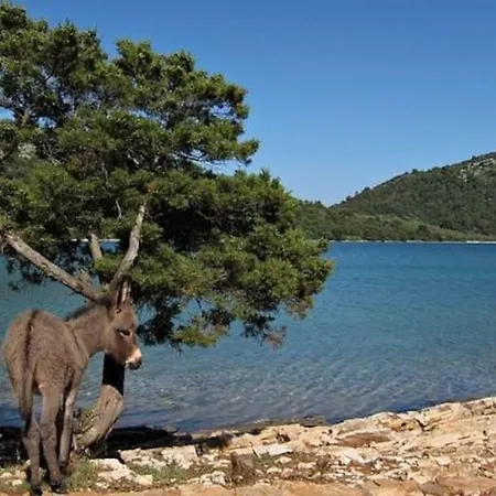 Lordanic Zaglav, Dugi Otok * Zaglav
