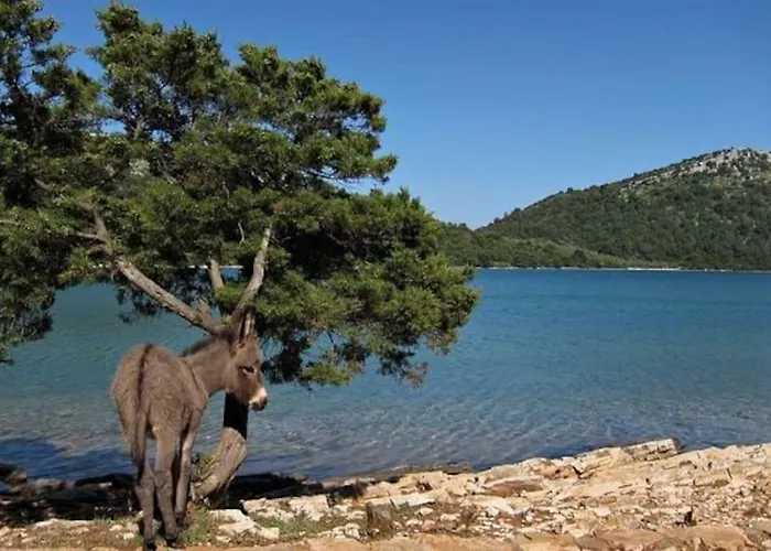 Lordanic Zaglav, Dugi Otok * Zaglav