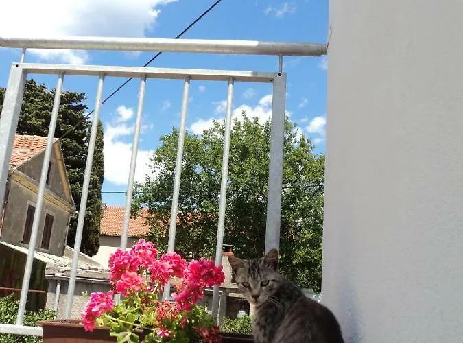 Lordanic Zaglav, Dugi Otok Apartament Zaglav